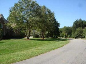 Deer Trace homes for sale in Pilot Mountain NC