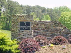 Toms Creek Bluff homes for sale in Pilot Mountain NC