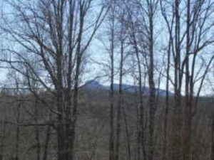 Dodson Woods homes for sale in Pilot Mountain NC